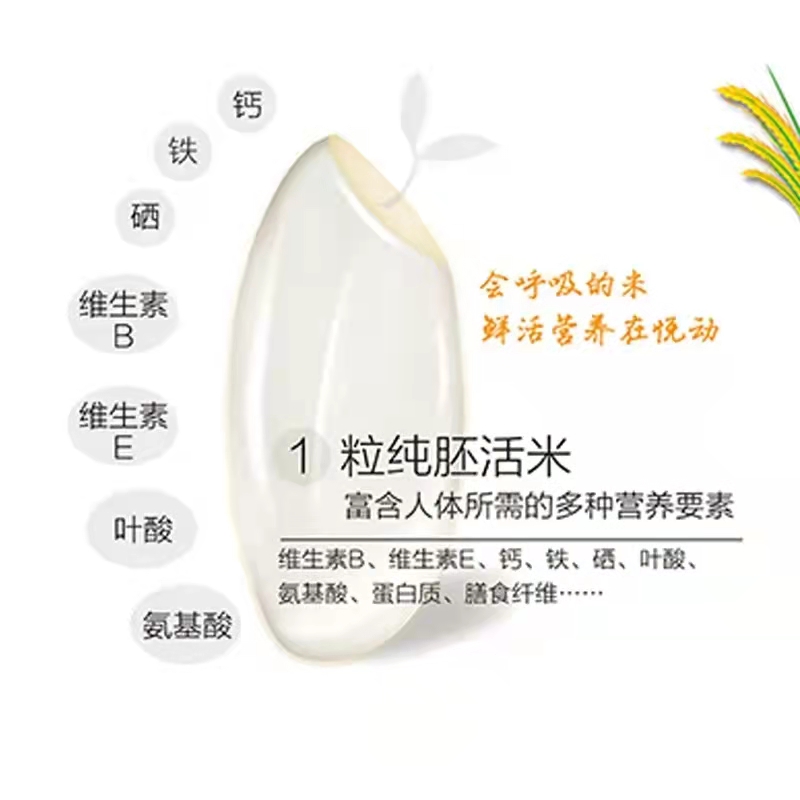 智能鮮米機現(xiàn)碾米的營養(yǎng)成分
